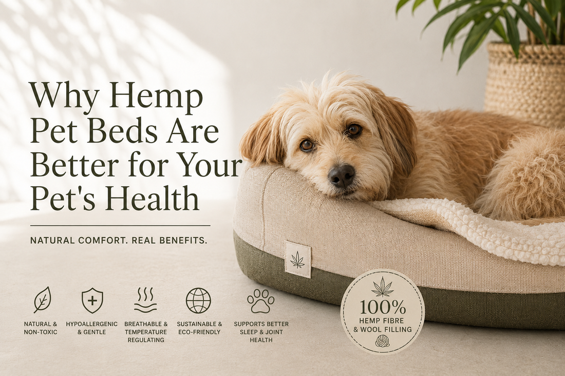 Why hemp pet beds are good for your pets health- Hemp Horizon